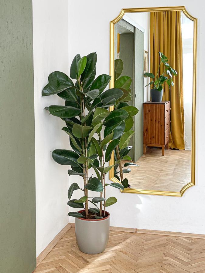 Turnkey I Vintage Terrace Appartement