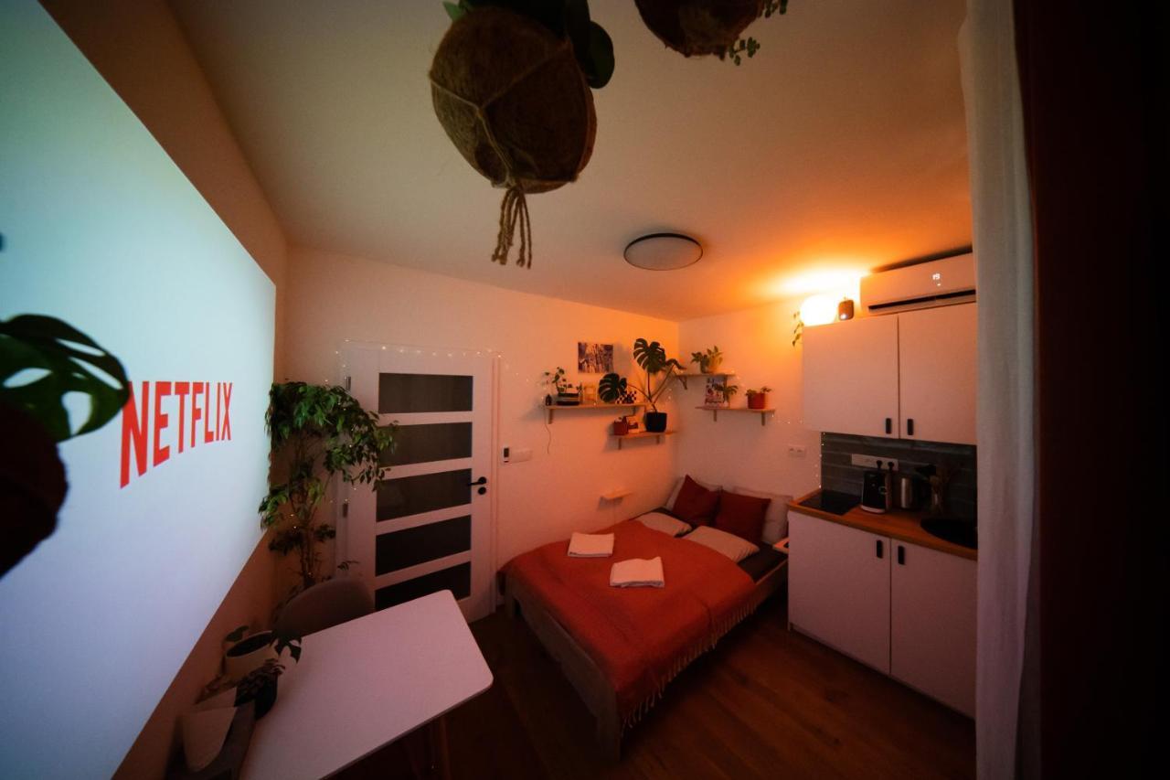 Maly Utulny Byt S Balkonem A Projektorem Apartment Prague