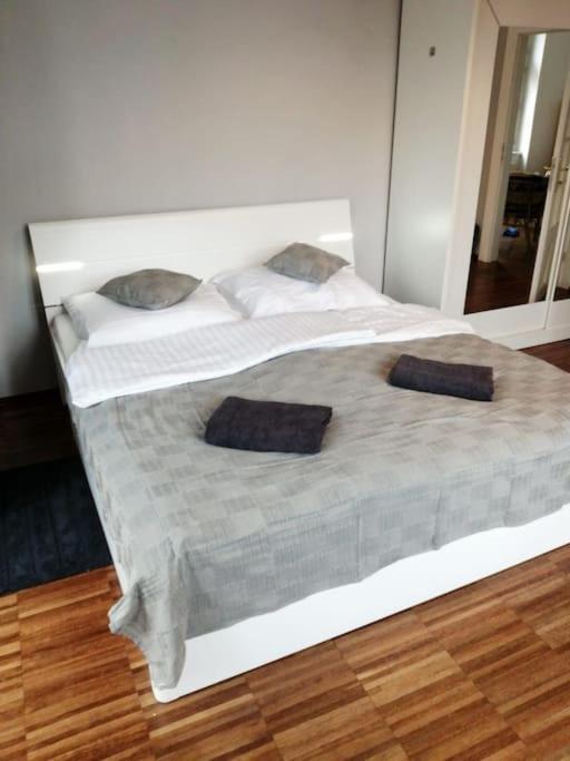 2 Bedrooms Close Vysehrad - Congress Centrum Praga