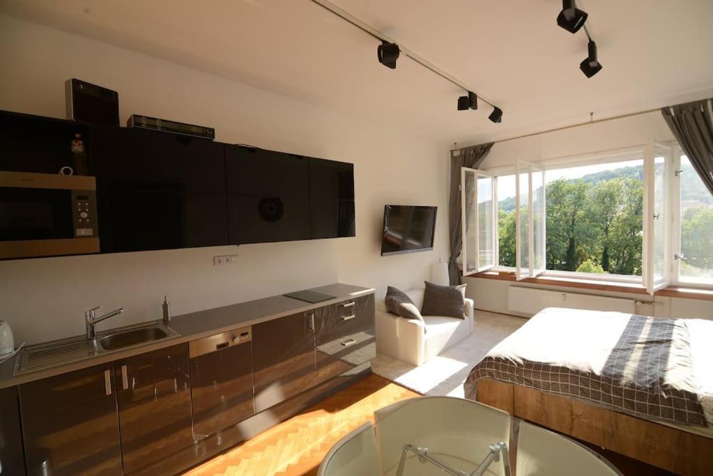 Fabulous River View Studio In The Heart Of Apartment Prague