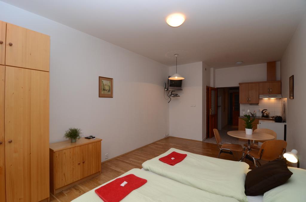Apartment Karlin Prague
