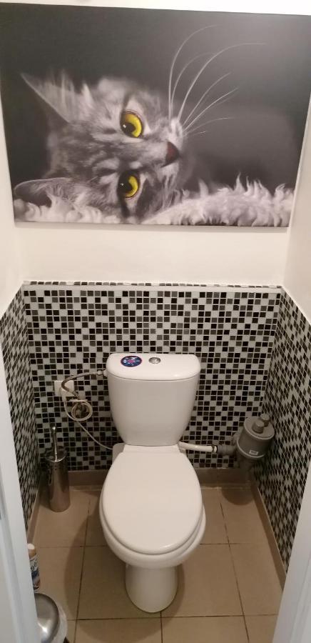 Jilska 449/14 Apartamento