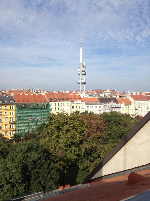 Apartment Penthouse In Vinohrady Prague