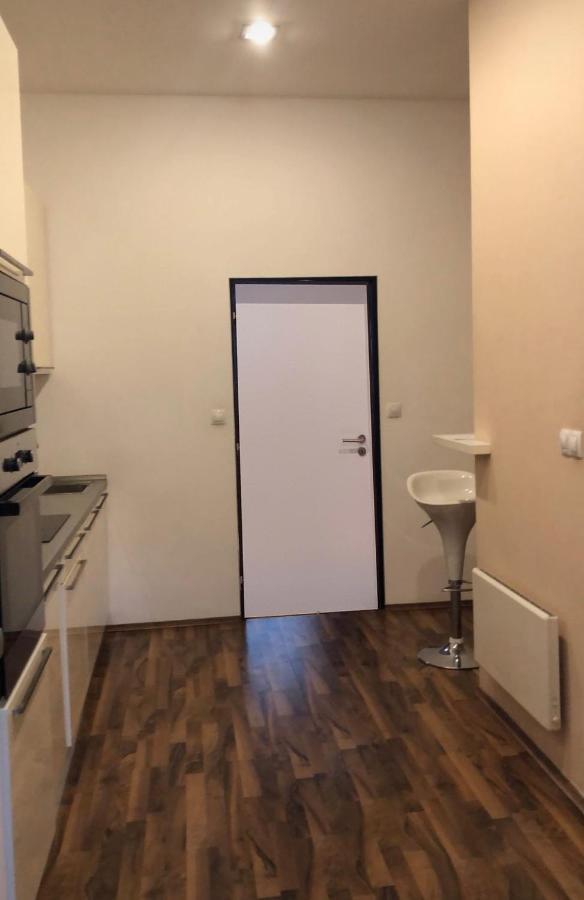 Comfortable Great Location Close To Center Apartment Prag