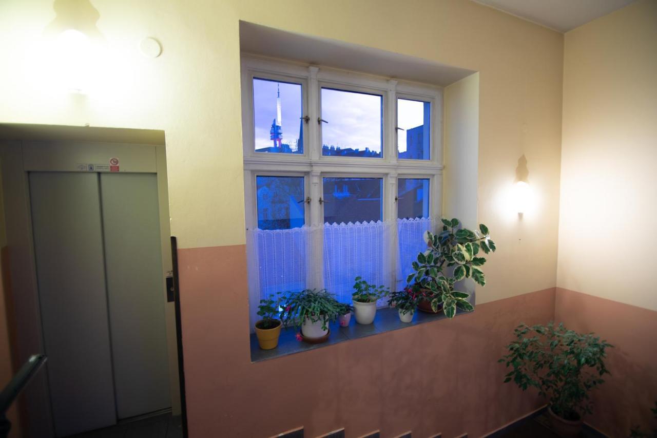 Victor Hotel 3*