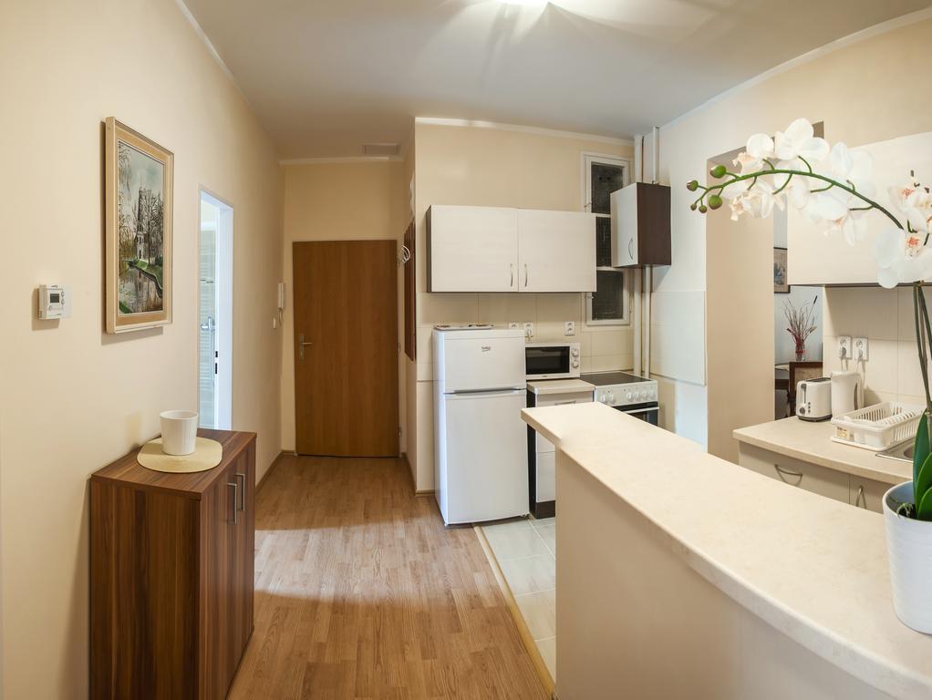 New Luxury Apartment