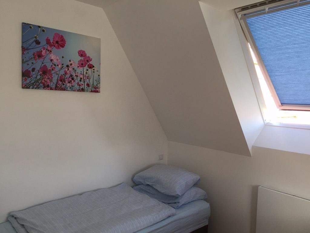 Apartment Lucemburska