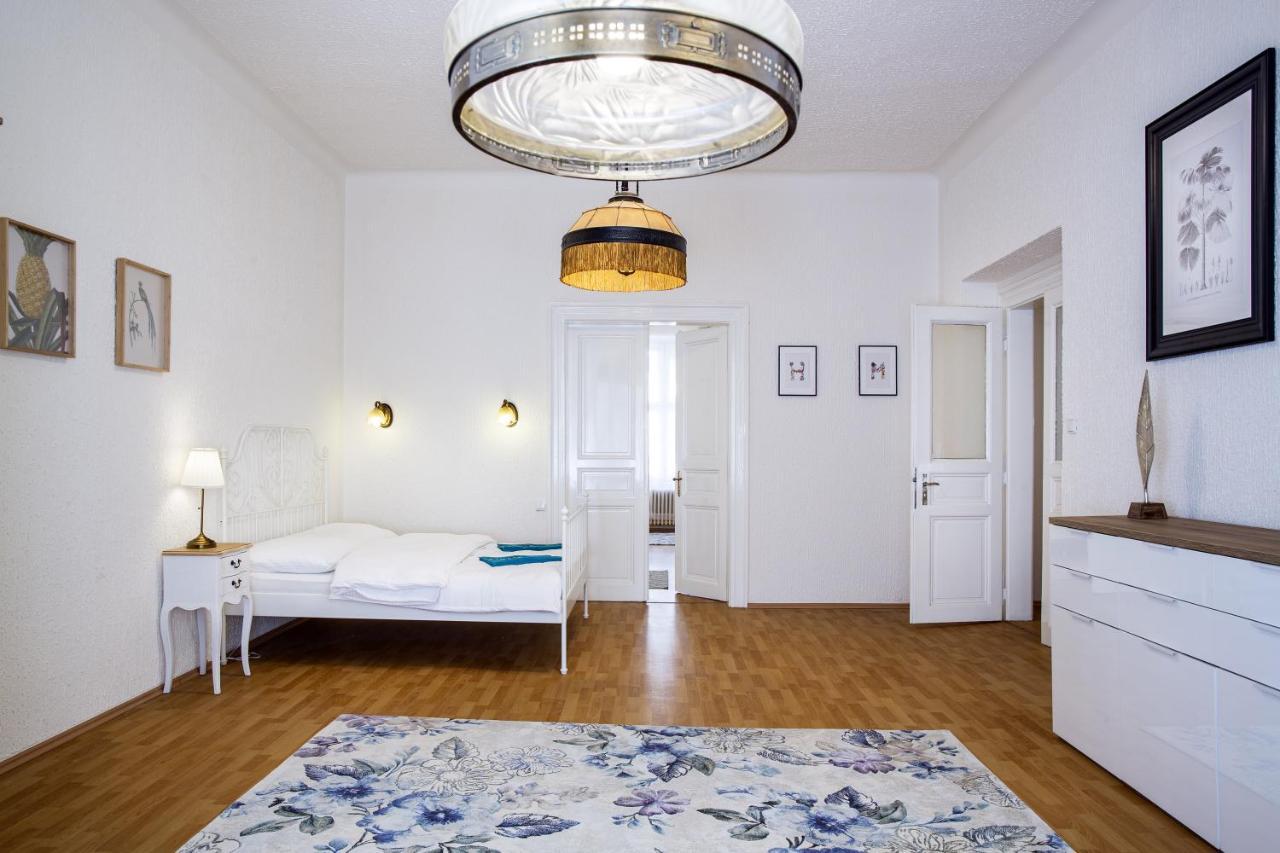 Large 3 Bdr In The Heart Of Prague