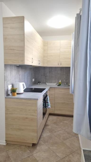 Cozy 1-br Apt. Vt Near Wenceslas Sq. *