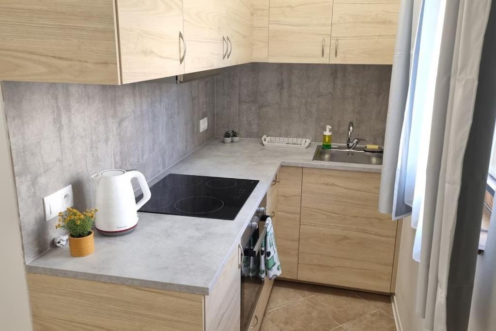 Cozy 1-br Apt. Vt Near Wenceslas Sq. * Prag
