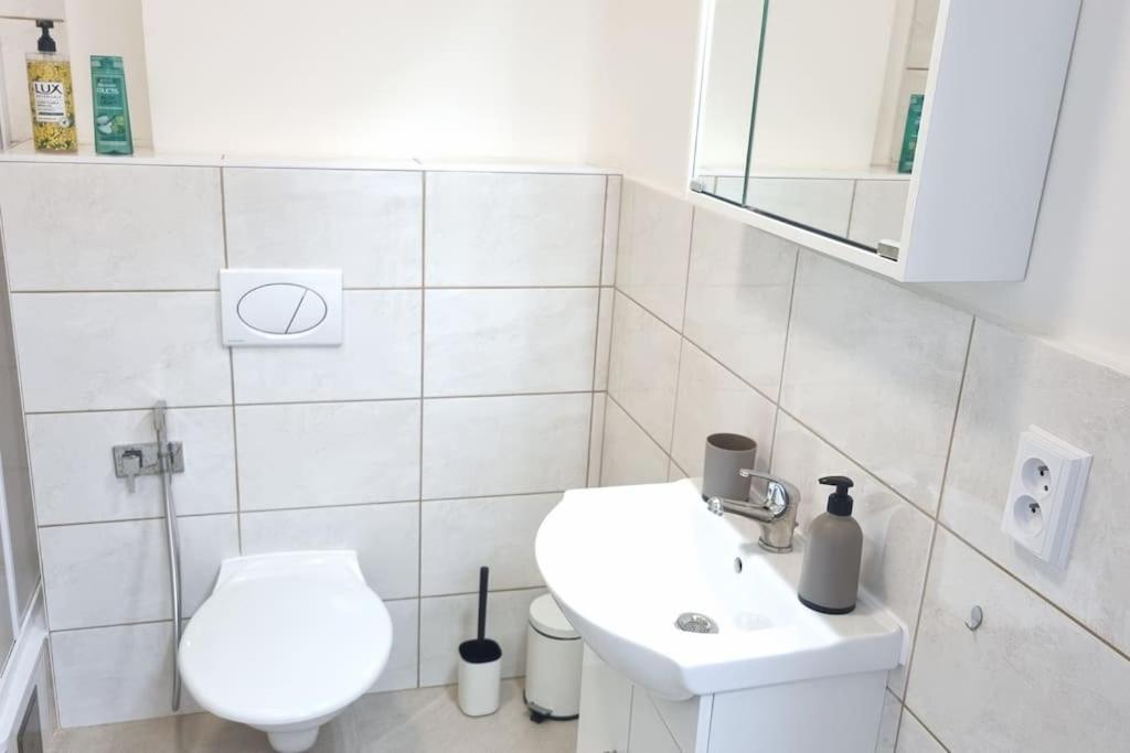 Cozy 1-br Apt. Vt Near Wenceslas Sq. Apartment *