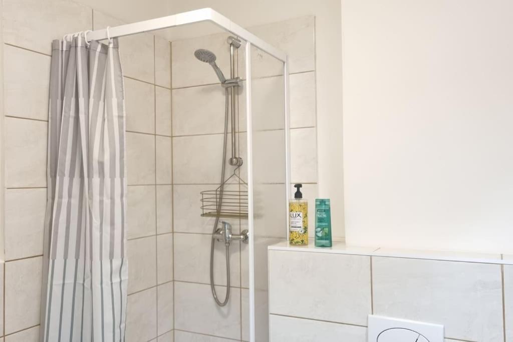 Cozy 1-br Apt. Vt Near Wenceslas Sq. Prag