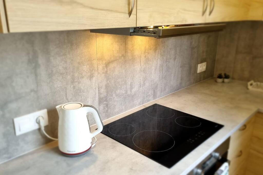 Cozy 1-br Apt. Vt Near Wenceslas Sq.