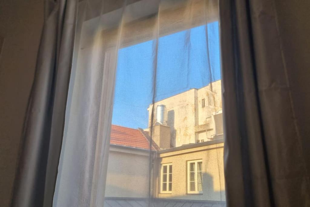 Cozy 1-br Apt. Vt Near Wenceslas Sq. Apartment