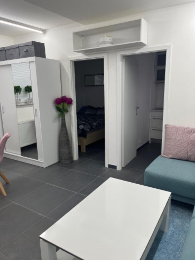 Apartment Ubytovani-praha 9-vinor *