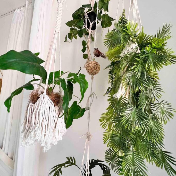 Quiet Boho Whit A Balkony Near The Center *