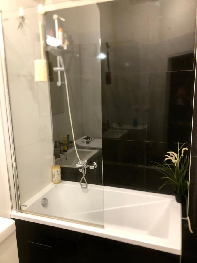 Karlin Cozy Daire Prag