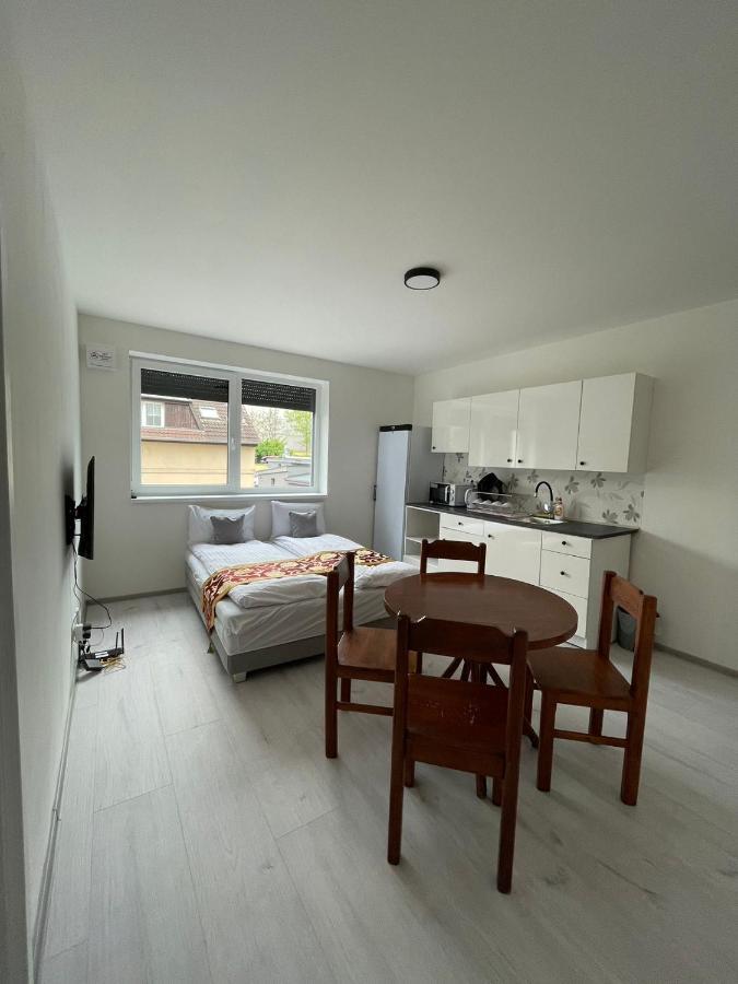 Sun-house Pension&restaurant -parkingfree- Praga