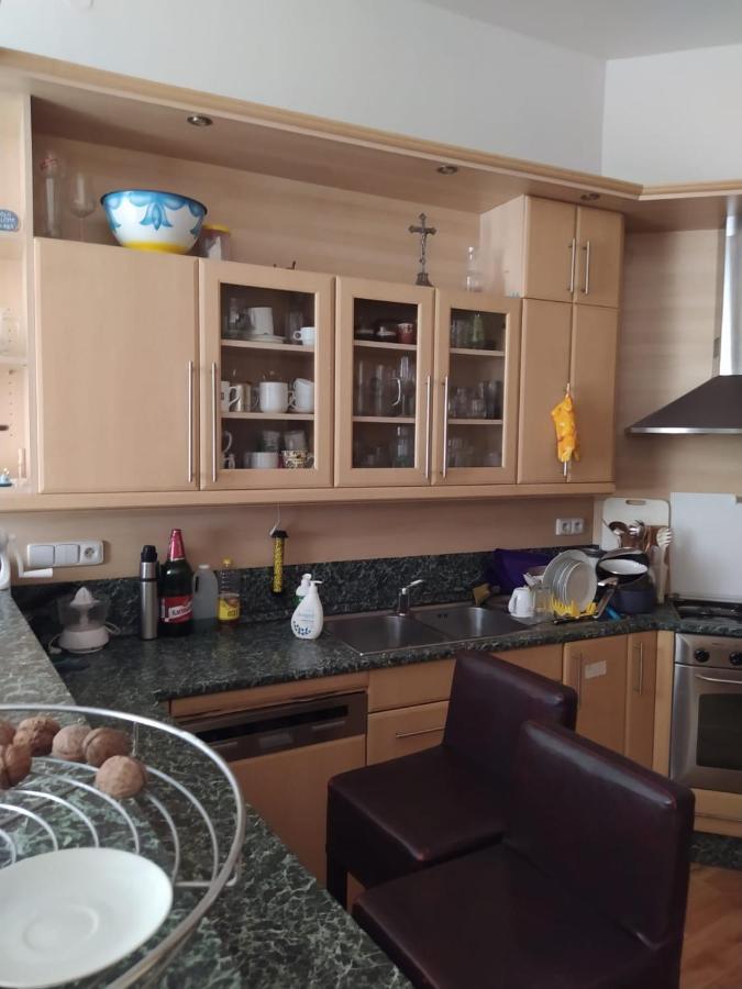 Private In Shared Luxurious Palace Like With 2 Bathrooms Including Whirlpool And Virtual Reality Konukevi Prag