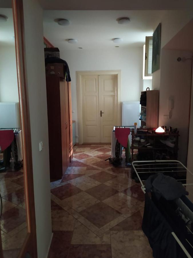 Private In Shared Luxurious Palace Like With 2 Bathrooms Including Whirlpool And Virtual Reality Prag