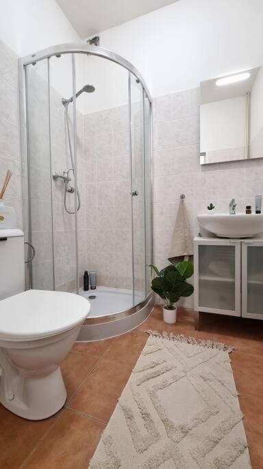 Apartment Finnem Sokolovska *