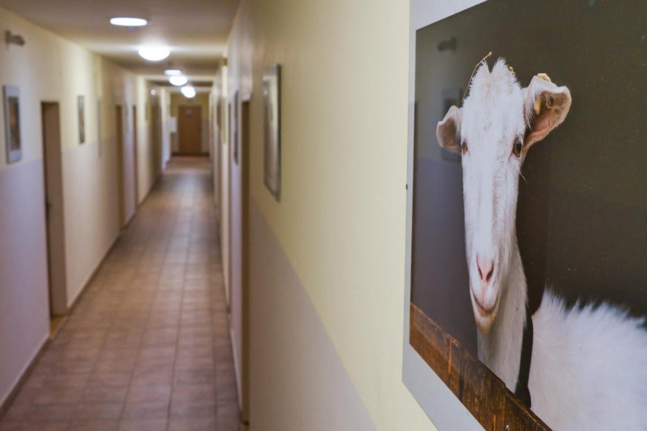 Toulcuv Dvur Hostel *