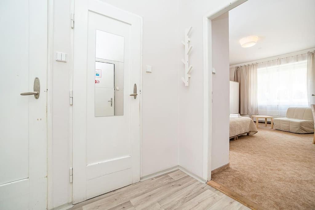 Flat In Zizkov -204-