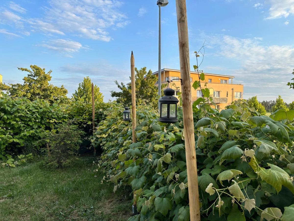 Daire Simple With Garden 15 Min From Center&airport Prag