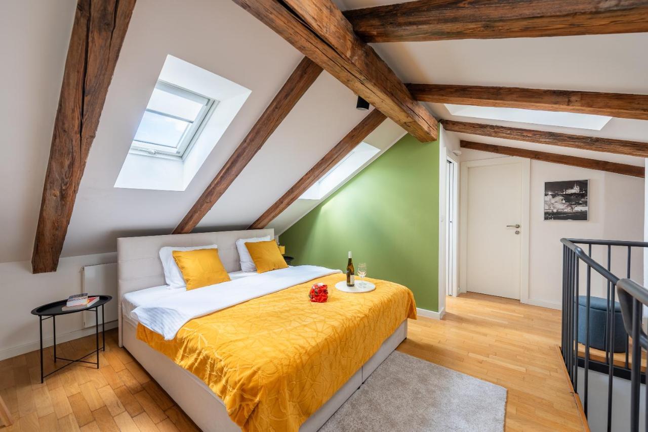 Duplex With Ac In Center Prague