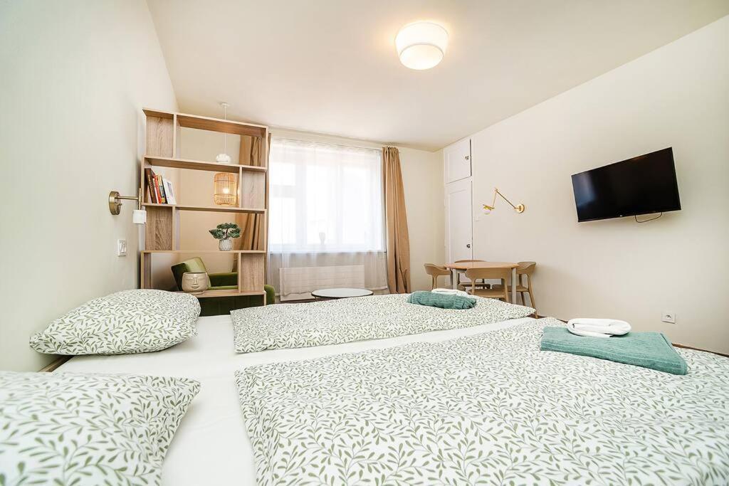 Modern With Balcony, Tv Prague