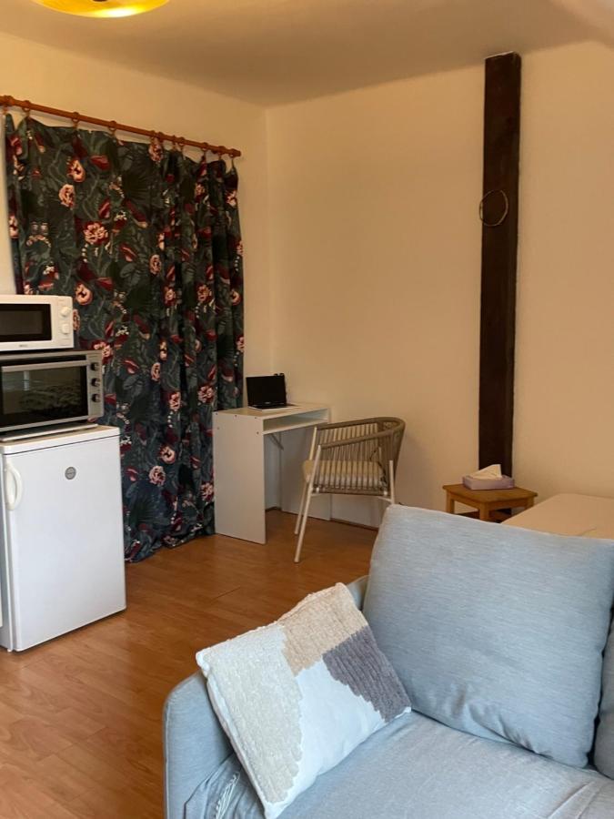Apartment Podkrovni Byt 1kk