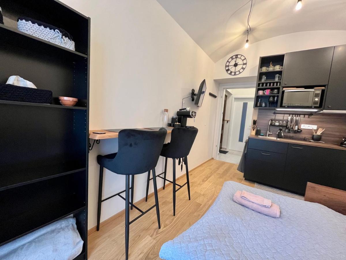 Apartment V Prizemi S Kuchyni A Koupelnou Prague