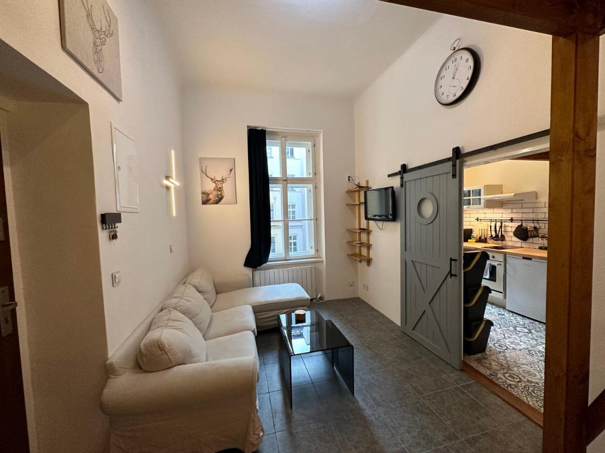 Cozy New Loft Daire Prag