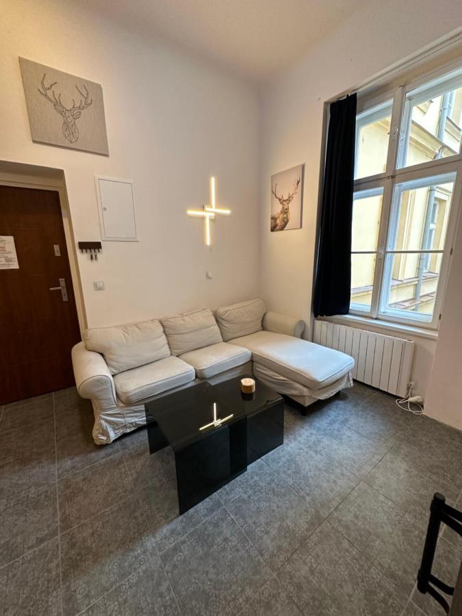 Cozy New Loft * Prag