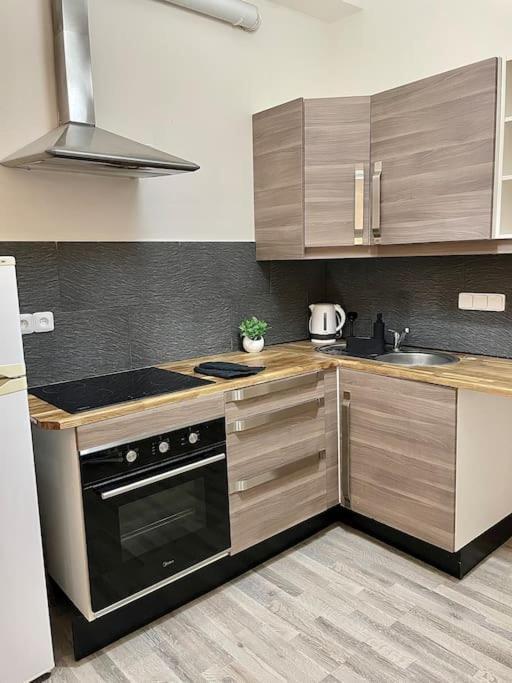 Apartment With Terrace In Center Prague