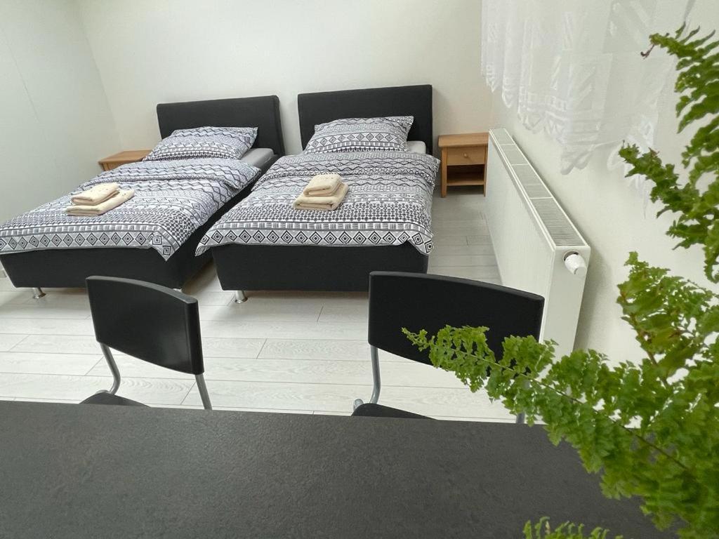 Rumako Daire Prag