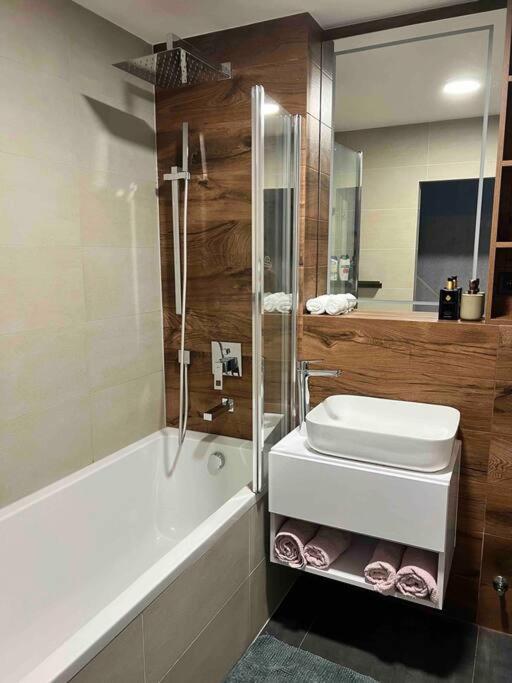Luxury Pearl With Parking Place In Holesovice Prague