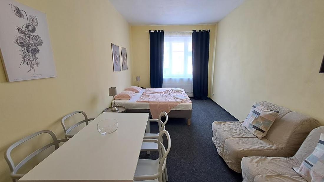 Flat In Zizkov -402- Prague