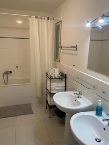 Large 3 Bedroom Family Close To The River Daire Prag