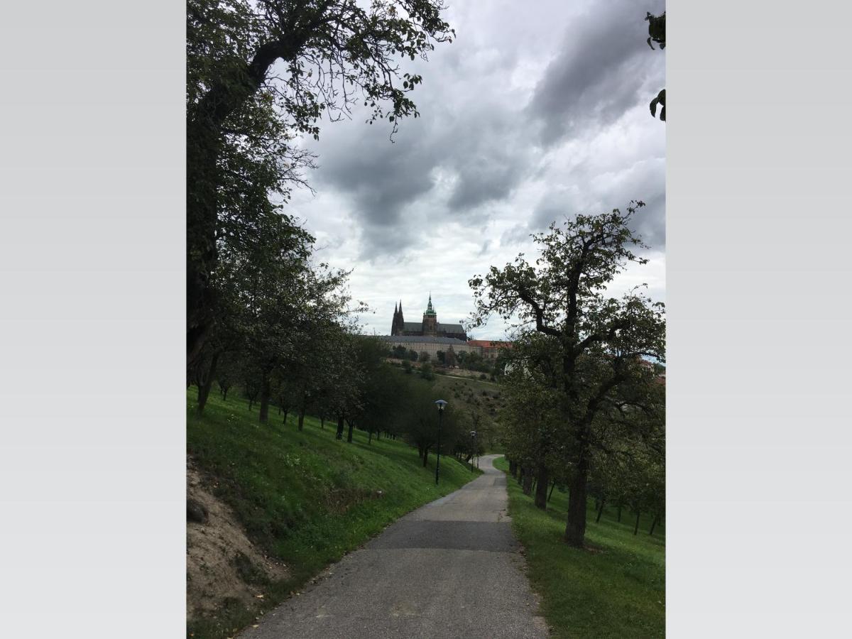 Stylish 5 Mins From The Charles Bridge *