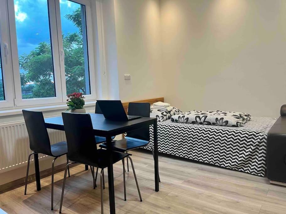 Modern Flat In Praga