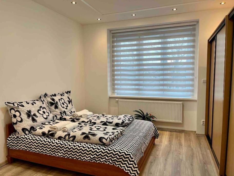 Modern Flat In Praga