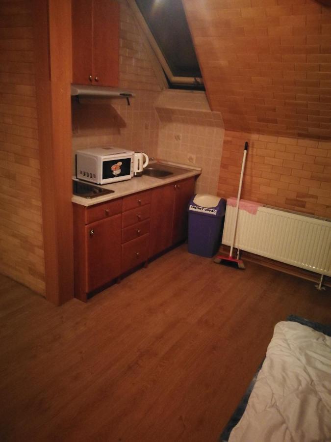 Apartment Barrandovska Prag