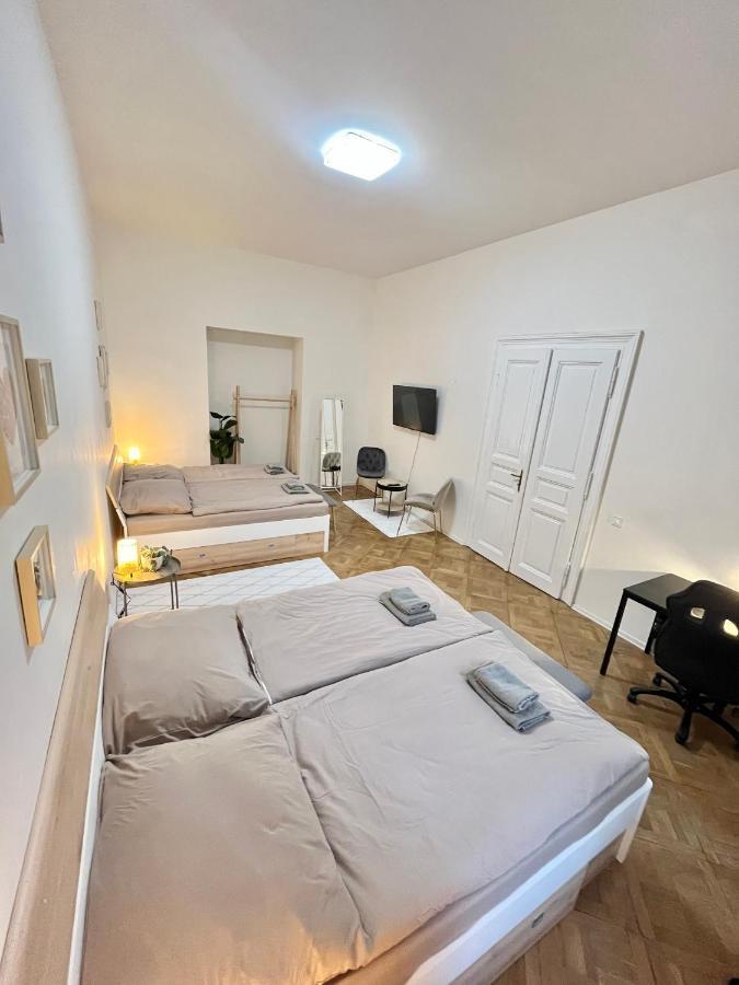 Spacious 2bdr With Free Parking In Wenceslas Square *