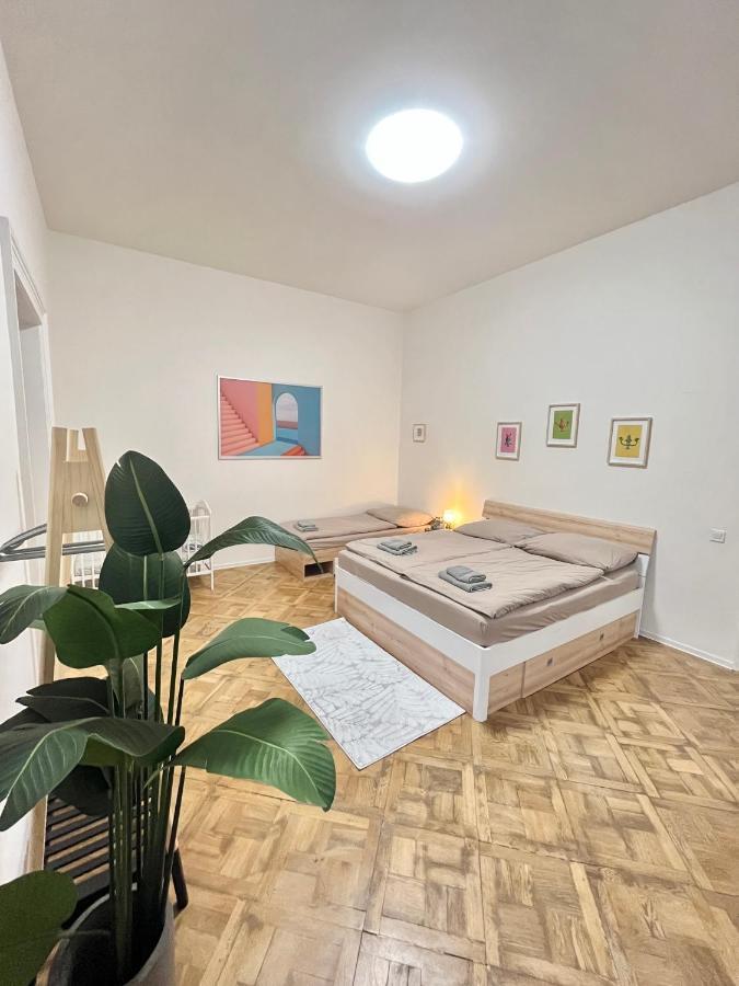 Spacious 2bdr With Free Parking In Wenceslas Square Praga