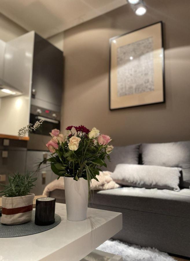 Luxury Beautiful Spacious In Perfect Location Apartment Prague