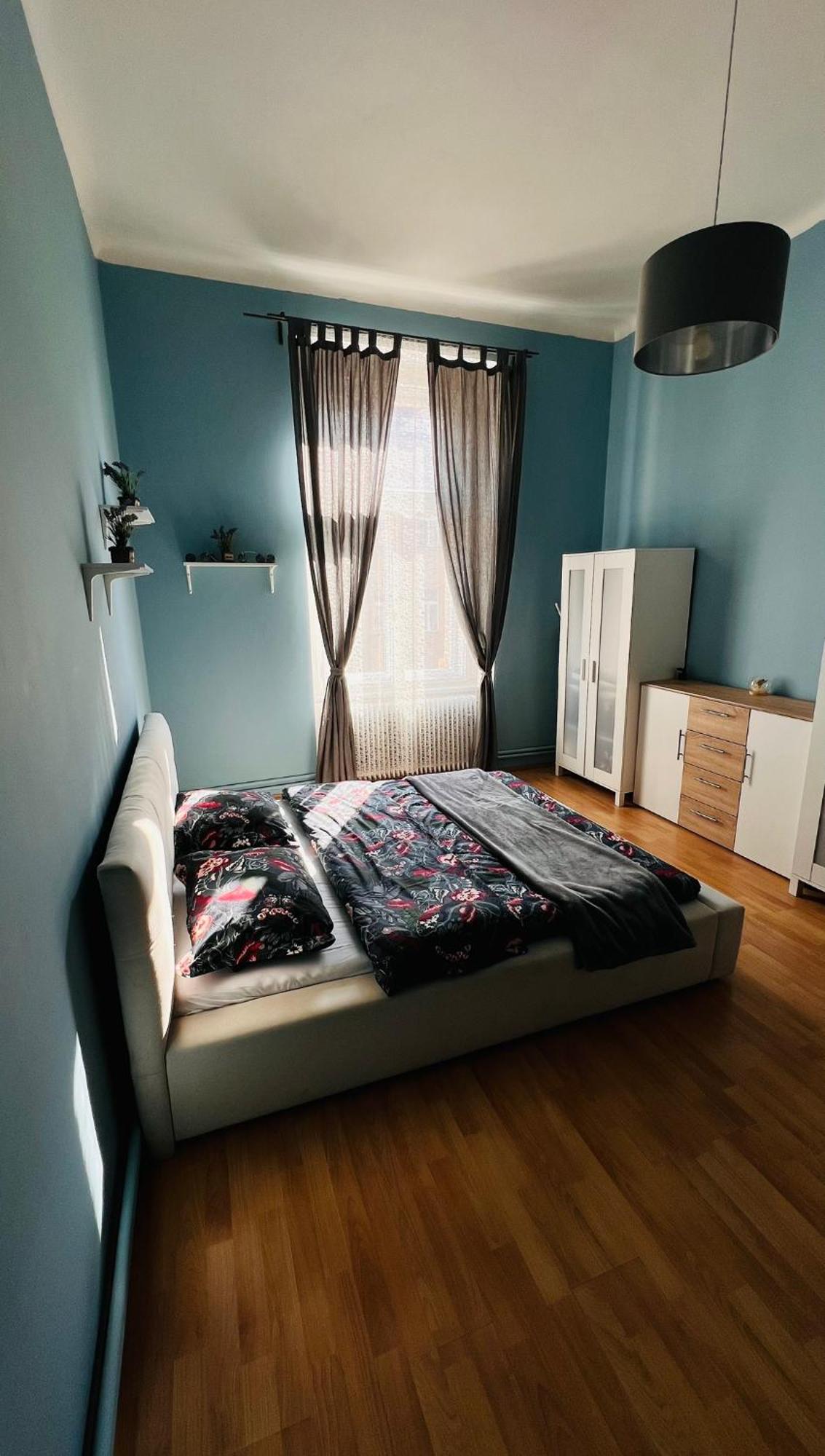 Apartment I.p.pavlova *