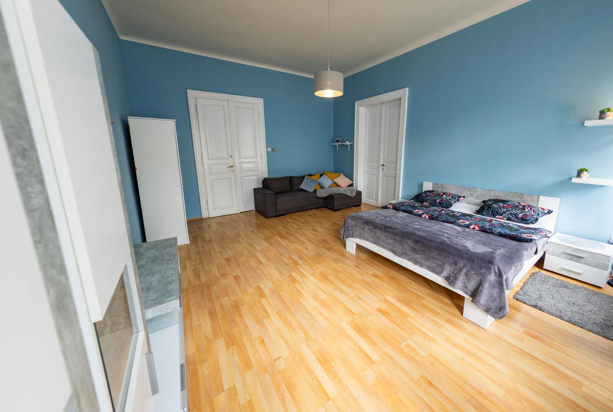 I.p.pavlova Apartment Prag