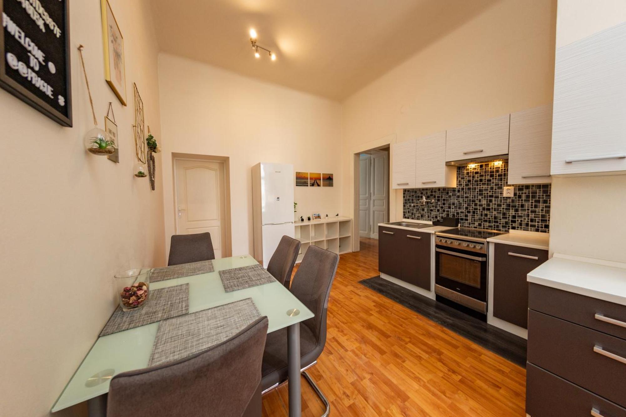 Apartment I.p.pavlova Prag