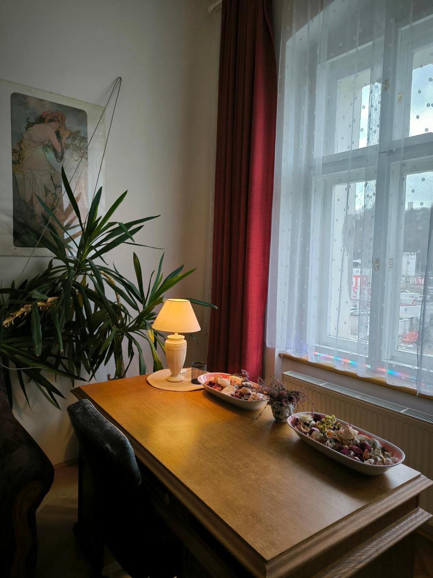 Apartment Valentinka Minutes Away From Charles Bridge *